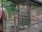 Hen cage