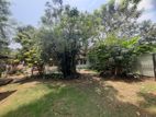 Hendala Main Road Facing Land for Sale in Wattala (C7-5597)