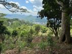 Herassagala 20 Perch Land for Sale