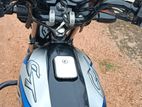 Hero CD 100 ct100 2023