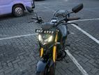Hero Hunk 160R 2025