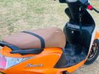 Hero Pleasure 2014