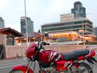 Hero Splendor 2008