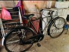Standard Bicycle