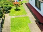 (HH129) Single Storey House for Sale in Nawalapitiya Kandy