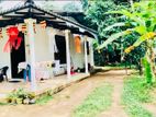 (HH259) Single Storey House for Sale in Ganemulla Road Kadawatha