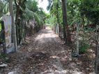 HHL0314 - Land for sale in Thannamunai