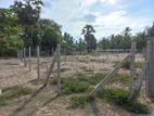 HHL0564 - Land for Sale in Palameenmadu