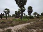 HHL0828 - Deed land for sale in Chathurukondan, Batticaloa