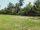 HHL0898 - Land for Sale in Cheddipalayam