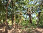 HHL0959 - Land for Sale in Palameenmadu