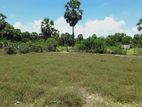 HHL0987 - Land for Sale in Kaluwanchikudy