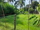 HHL0993 - Land for Sale in Puliyantivu