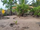 HHL1021 - Land for Sale in Thannamunai, Batticaloa.