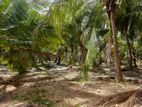 HHL1024 - Land for Sale in Thannamunai