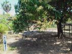 HHL1040 - Land for Sale in Kaluwanchikudy