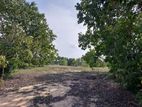 HHL1048 - Land for Sale in Saththurukondan