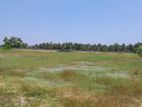 HHL1068 - Land for Sale in Thannamunai