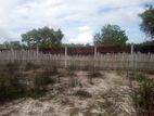 HHL1117 - Land for sale in Thannamunai