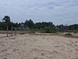 HHL1126 - Land for Sale in Chathurukondan
