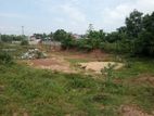 HHL1130 - Land for Sale in Pillaiyaradi