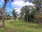 HHL1142 - Land for sale in Thannamunai