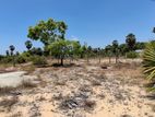 HHL1155 - Land for Sale in Thiraimadu