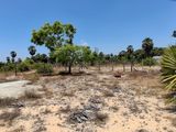 HHL1155 - Land for Sale in Thiraimadu