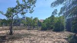 HHL1158 - Land for Sale in Sinna Oorani