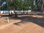 High Demanding Area Luxury Land for Sale in Dibbedda Panadura