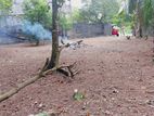 High Land for Sale Pannipitiya