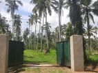 High-Potential Commercial Land for Sale Kuliyapitiya