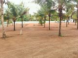 High Potential Land for Sale in Homagama