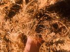 Coconut Husk