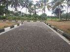 High Quality Developed Land Sale - Athurugiriya