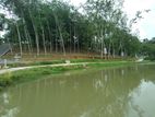 High Residential Area Lands for sale in Nawala