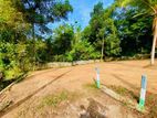 High Residential Land for Sale Hirana D29
