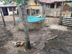 High Residential Land for Sale in Batticaloa