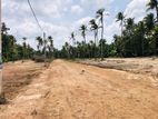 High Residential Land for Sale in Negombo 15.16p