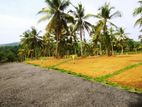 High Residential Land for Sale in Pugoda