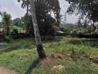 High Residential Land for Sale Pannipitiya