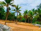 High Residential Land Plots - Thalawathugoda