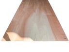 High Standard Plywood Boards - 8' x 4' 15mm (Imported)