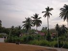 High Valuable Land for Sale at Homagama - Pitipana
