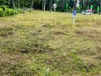 High Valuable Land For Sale In Beliatta