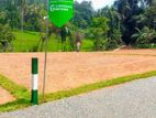 High Valuable Land for Sale in Wadduwa Moranthuduwa