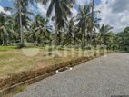HIGH VALUBLE LAND FOR SALE - ARALIYA LANDS AND HOMES