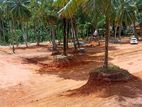 High Value Land for Sale in Kandana Dolahena Road Near Batagama Church