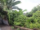 High-Visibility Business Land for Sale