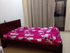 higher floor 2BR furnished apartments for rent in wellawatta